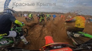 Красные Крылья Кросс Новичок