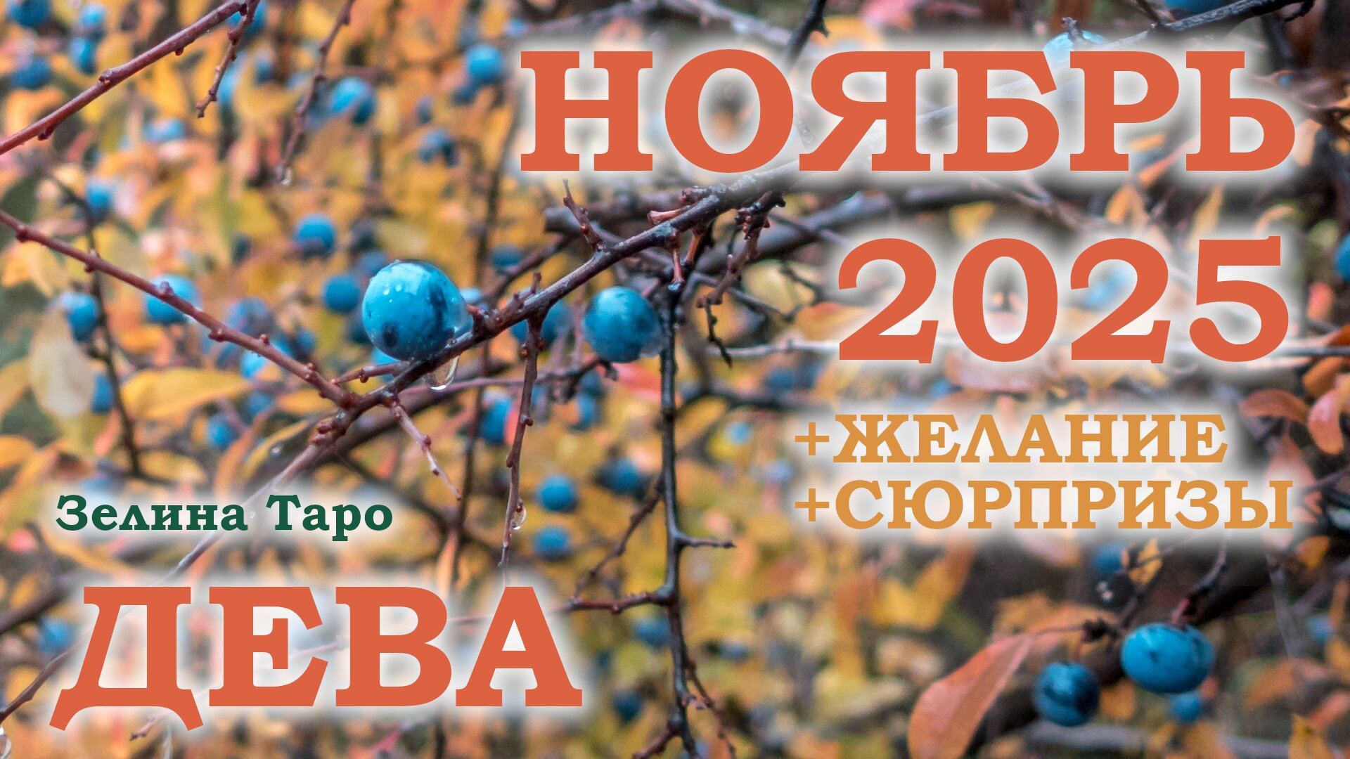 ДЕВА | ТАРО прогноз на НОЯБРЬ 2025 года | Желание | Сюрпризы | Расклад таро