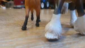 шляйх клип туманы воды