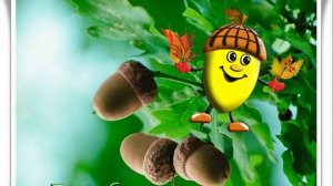 5 ноября День желудей