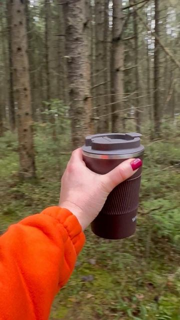 Лес и тишина