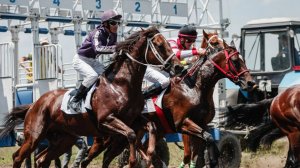 10885919025996_9283367471692_pqxp7x2yti