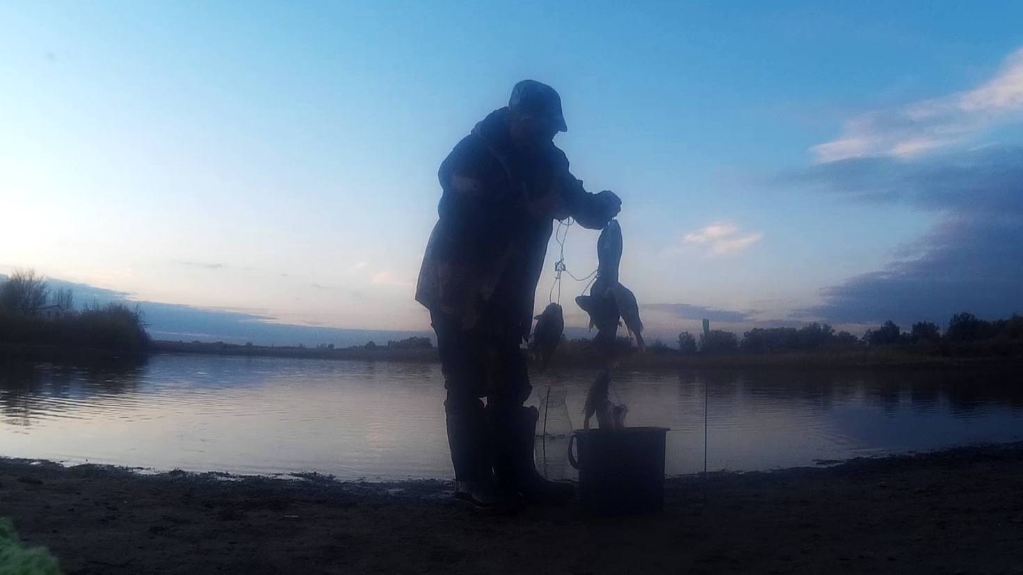 За щукой на озеро а клевал окунь как из пулемета.