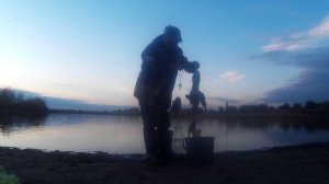 За щукой на озеро а клевал окунь как из пулемета.