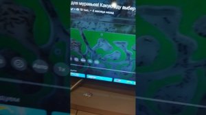 МУРАШКИ НА СВЯЗИ!