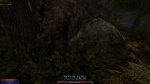 Сбор провизии и неожиданная встреча (Квест "Нехватка продовольствия")