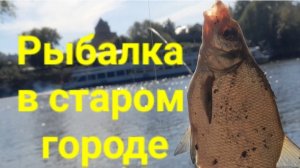 Рыбалка в старом городе.