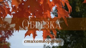 Обрезка 🍁🍂 | стихи христианские