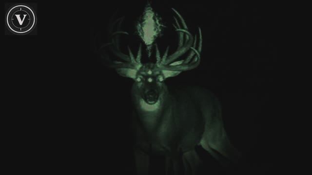 Music theme [Dark earth]