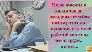 Даешь юмор! )