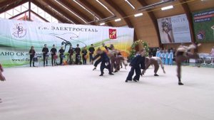 Показательное выступление "Не забудем никогда"