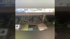 Готовимся собирать гранту)