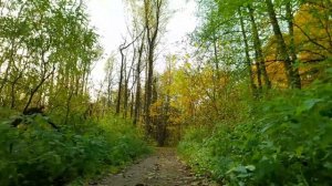 chillout mix «Погружение в спокойствие»