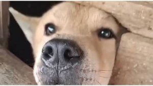 Латаем дыры...