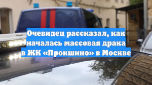 Очевидец рассказал, как началась массовая драка в ЖК «Прокшино» в Москве