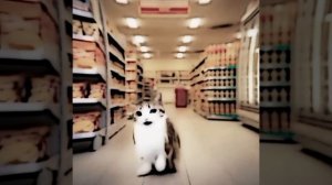 УМЕНЯКНИММАТЕРИНСКИЙИНСТИКТ. ~CapCut~