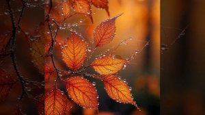 Рахманинов С.В.