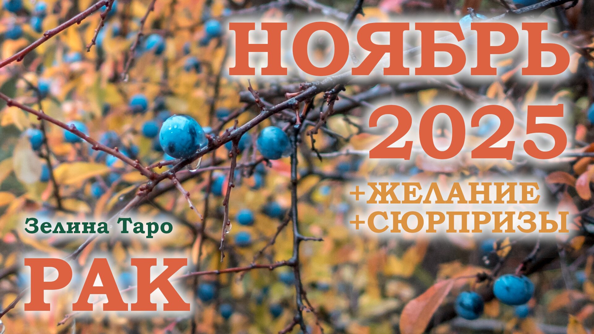 РАК | ТАРО прогноз на НОЯБРЬ 2025 года | Желание | Сюрпризы | Расклад таро