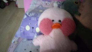 я временно ухожу из фандома уточки