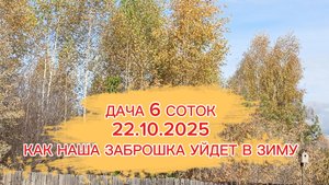 ОБЗОР НАШЕЙ ЗАБРОШКИ//КАК ОСТАВЛЯЕМ 6 СОТОК ДО ВЕСНЫ