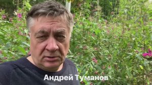 Внимание! Сбежал агрессивный бальзамин!
