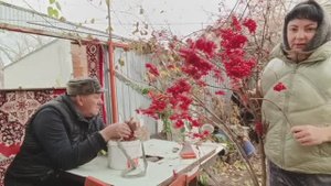 ВСЕГО ПОНЕМНОГУ, В РИТМЕ ЖИЗНИ