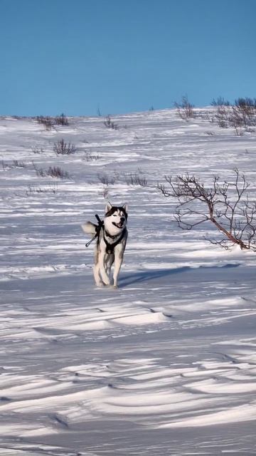Вдоль реки Хараелах