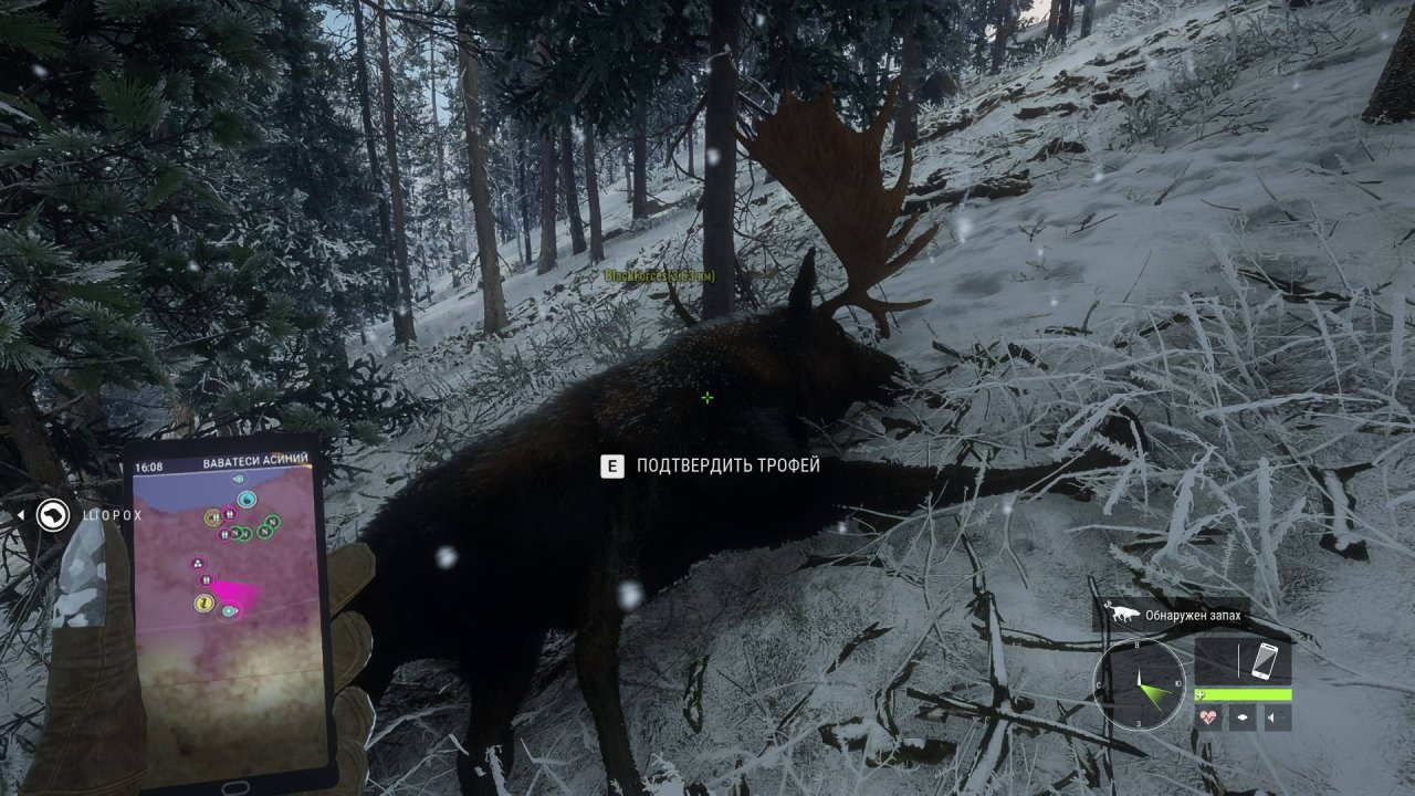 the hunter call of the wild