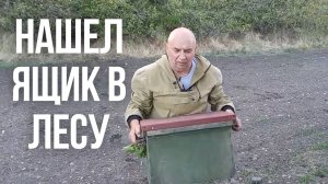 Поехали в Лес за Ловушками для Пчел нашли Ящик