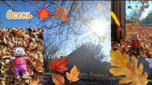 Осенний день с Басиком 🍁🍂