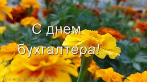 С днем бухгалтера. 21 ноября день бухгалтера в России