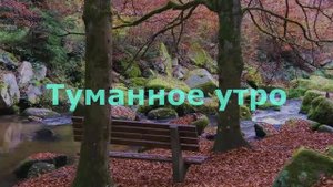 Туманное утро