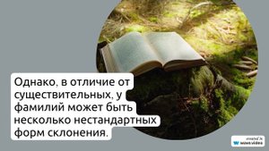 Фамилия Аллабердин: история происхождения, значение и правильное склонение в одной статье