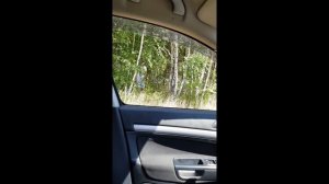 Ностальгия