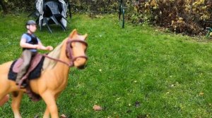 Один день глазами лошади