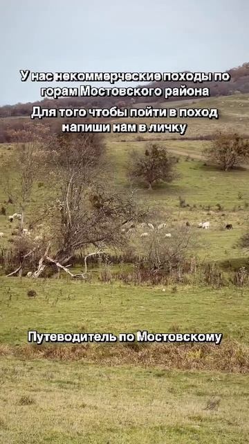 Путеводитель