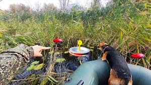 В ЭТИХ ЗАРОСЛЯХ ПОЛНО ЩУКИ. Рыбалка на кружки.