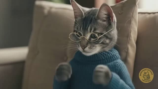 Регистрация у нас