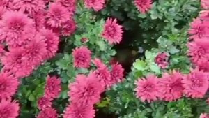 До свиданья, лето! 🌞