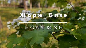 Жорж Бизе, ноктюрн для фортепиано. Классическая музыка
