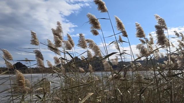 Осенние зарисовки Колыванского озера