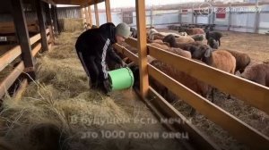 Развиваемся при поддержке Государства!
Гиссароводство стало не просто хобби ,а делом жизни!