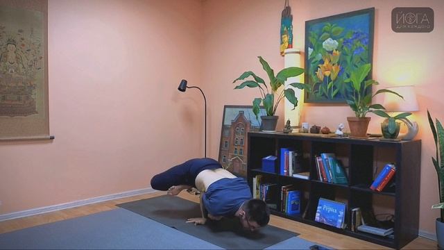 Маюрасана с лотсом. Фрагмент онлайн занятия.