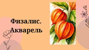 Физалис акварелью.