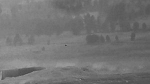 Охота на волка. Волк вышел к Федеральной трассе.