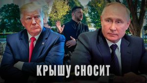 Крышу сносит: Инфоистерия против реальности