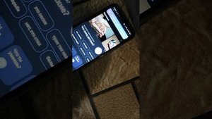 игра в три кота