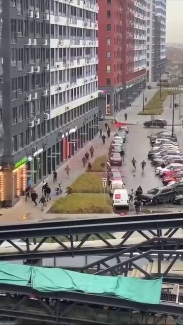 Драка в Прокшино: 19 мигрантам грозит до 7 лет тюрьмы и лишение гражданства