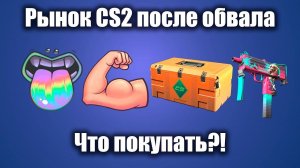 Рынок CS2 Что покупать после ОБВАЛА ЦЕН