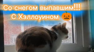 С выпавшим снегом нас ❄️❄️❄️ и праздником Хэллоуина 🎃!!!